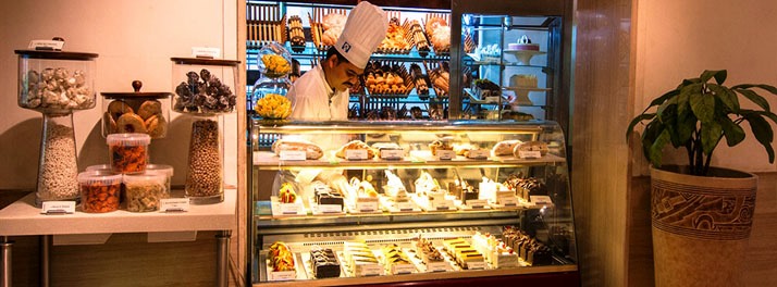 1453/Jaypee Siddharth - New Delhi 12.jpg